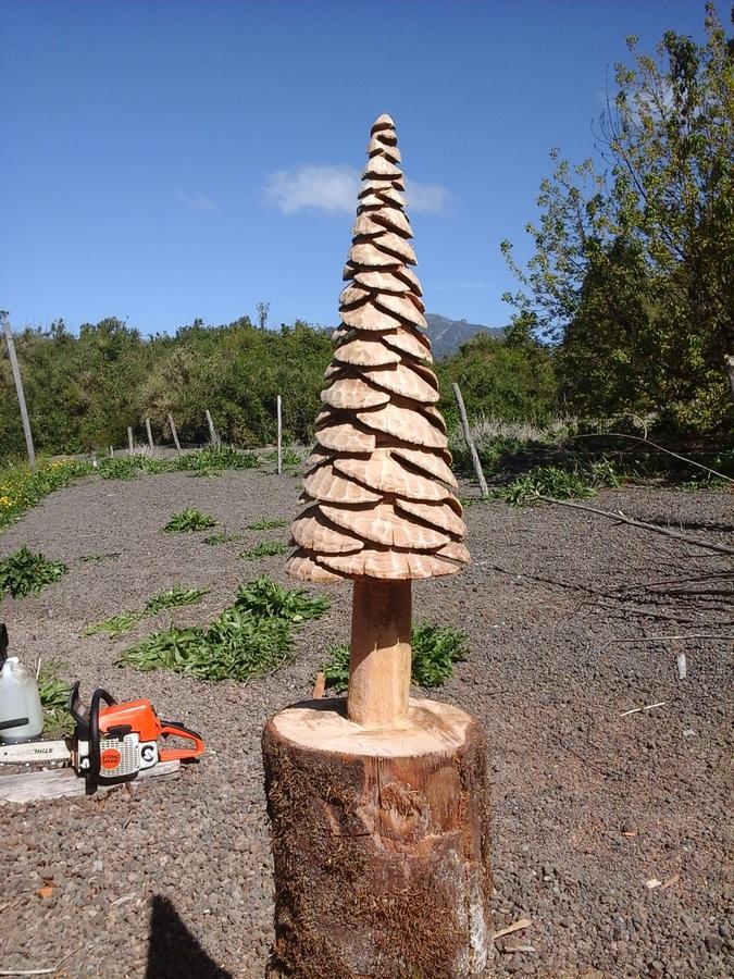 Topahue ラ・エンセナダ エクステリア 写真